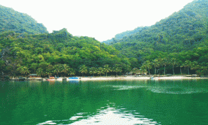 Coconut-island-Ha-Long-bay