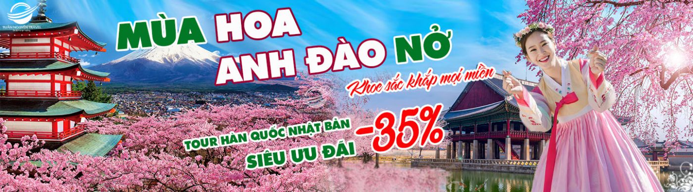 Tour từ Hải Phòng