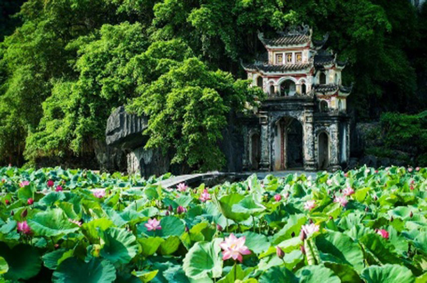 Hai Phong Tours
