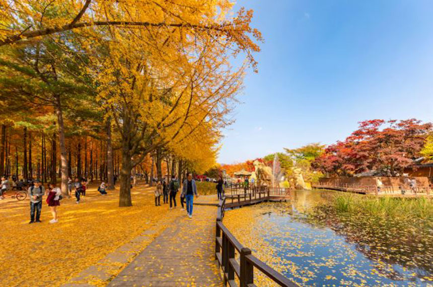 Tour từ Hải Phòng