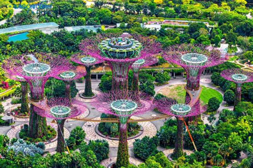 Hai Phong Tours
