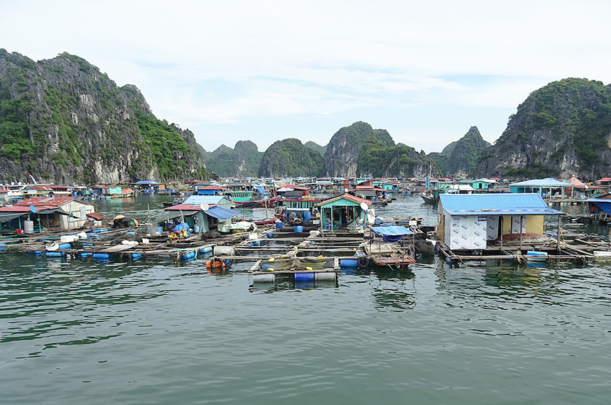 Hai Phong Tours